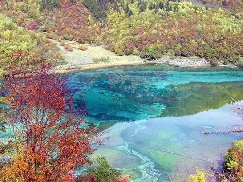 资阳安岳:军地联合送喜报 尊崇荣光暖人心